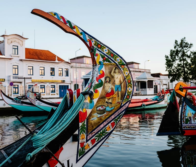 Private tour of Aveiro with colourful moliceiro boats on the canals