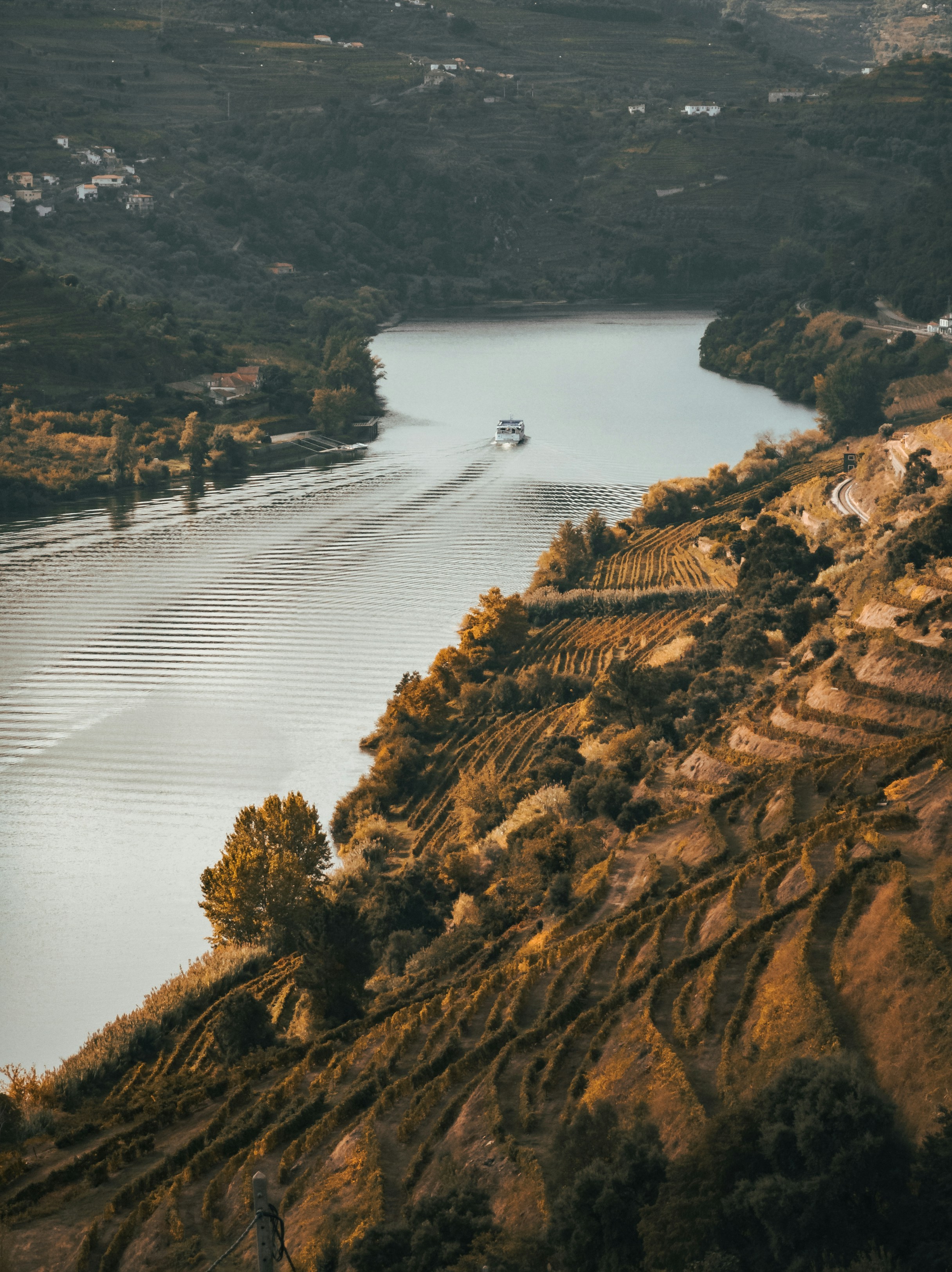 Douro Valley terraced vineyards along the river
