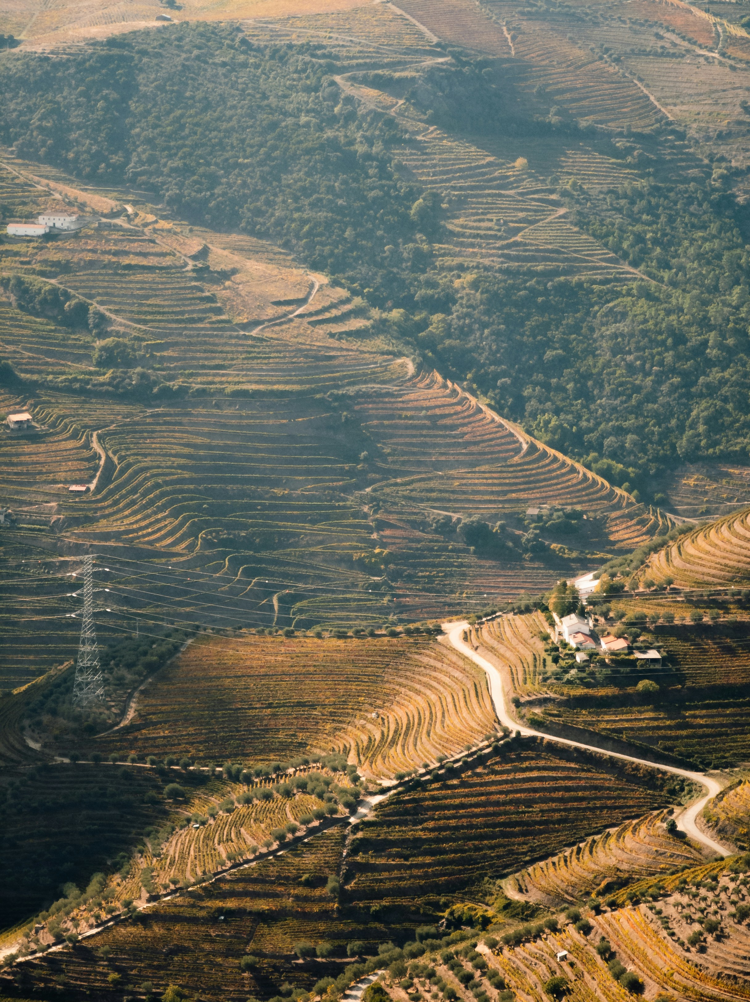 Douro Valley scenic vineyards and river landscape