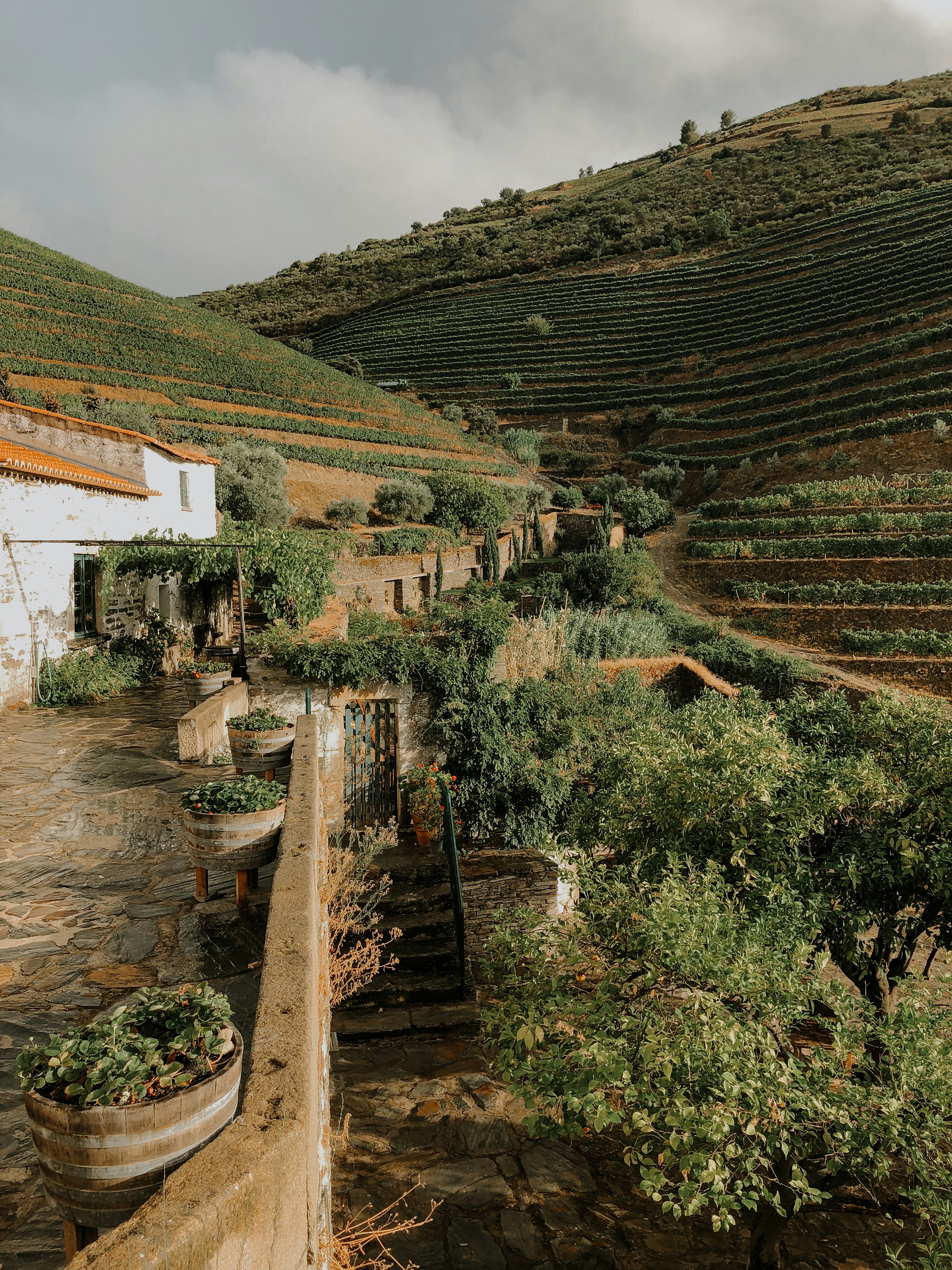 Traditional Porto wine cellar with aged barrels