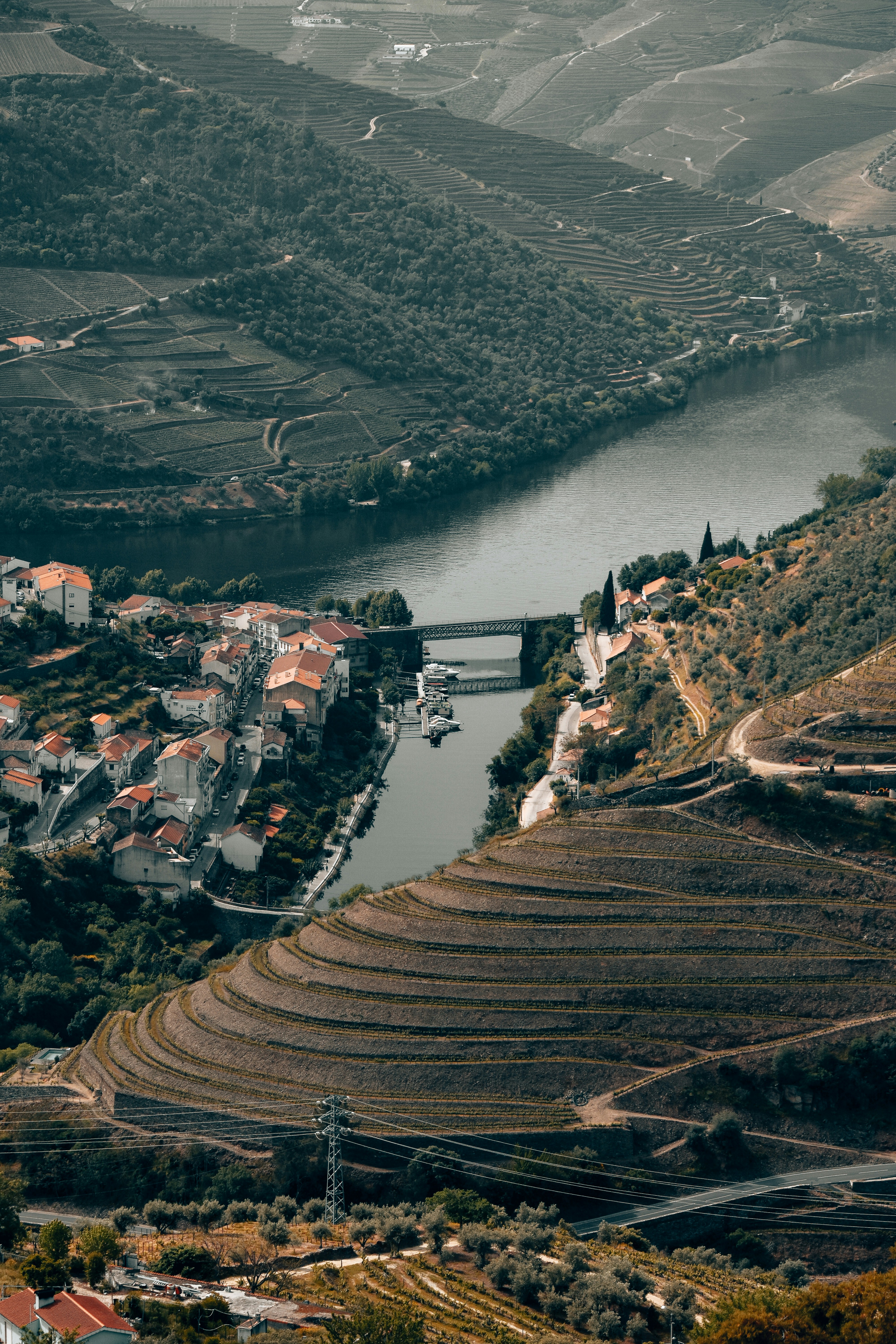 Terraced vineyards of the Douro Valley, Portugal's premier wine region