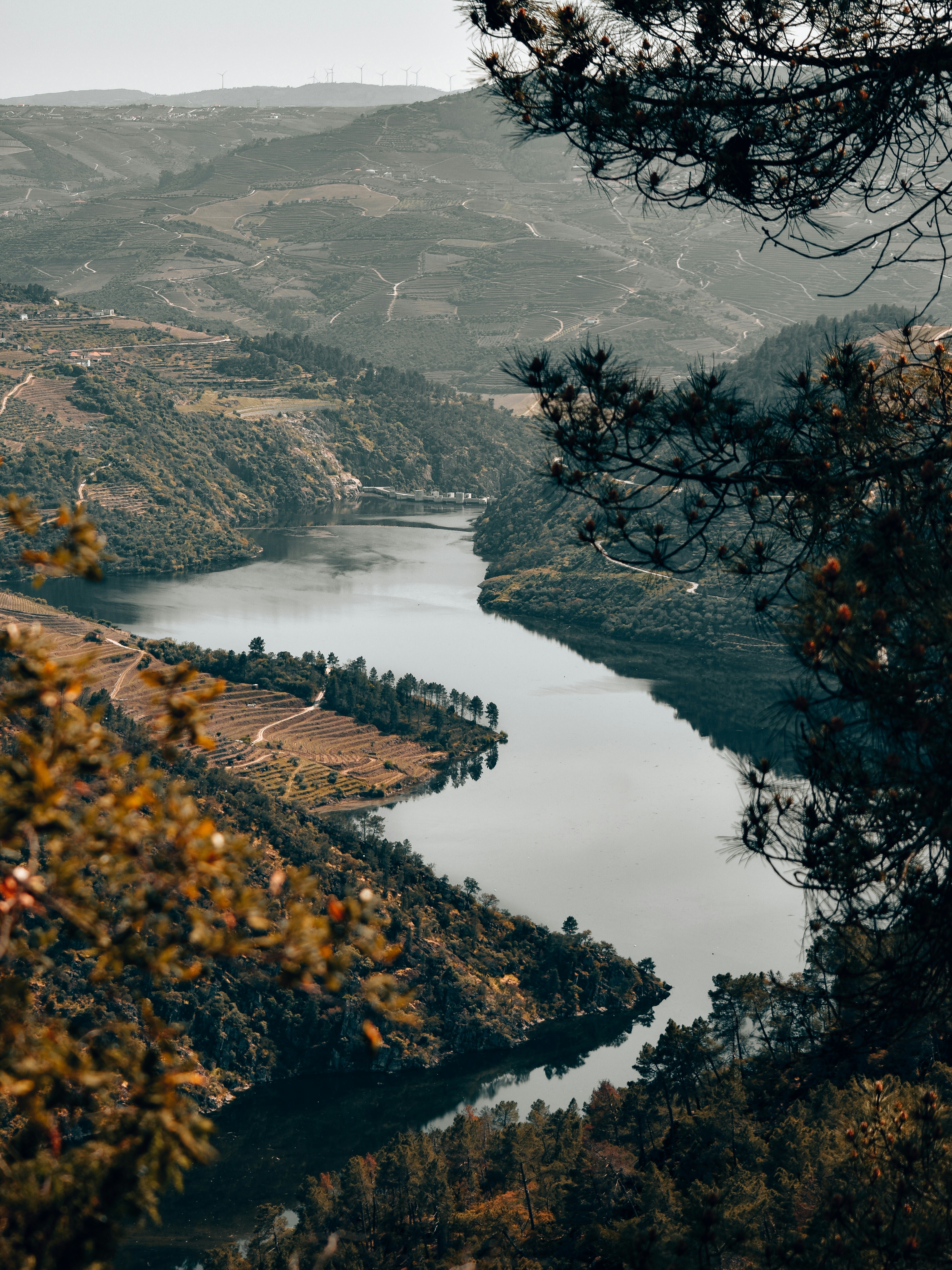 Douro River winding through the valley at golden hour