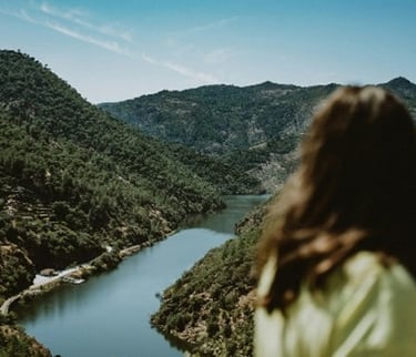 Private Douro Valley wine tour with vineyard views