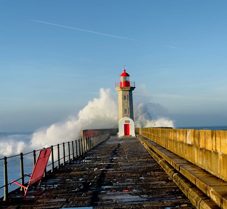 Foz do Douro waterfront restaurants with Atlantic Ocean views