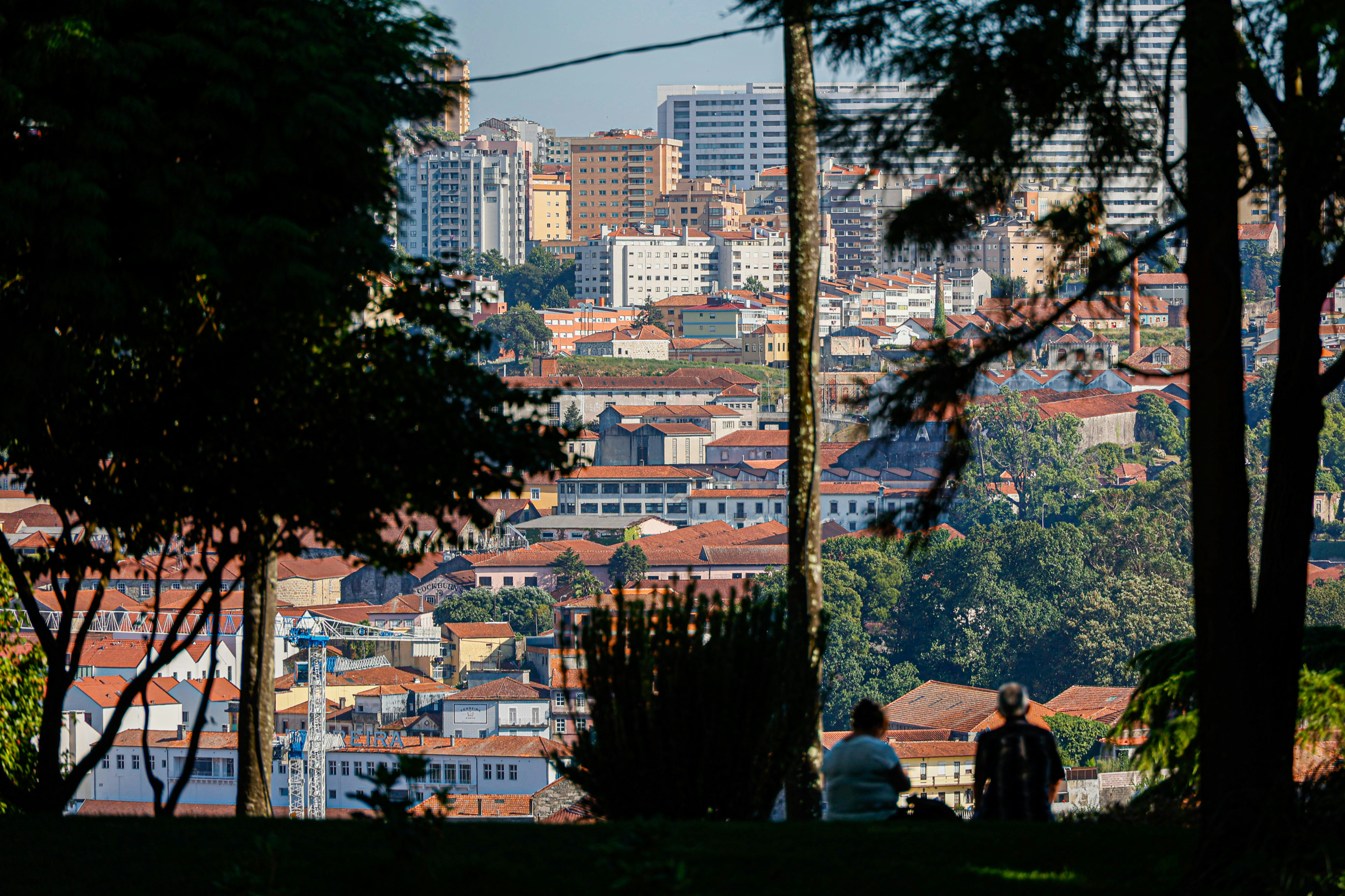 Porto city panorama with orange rooftops seen through the trees