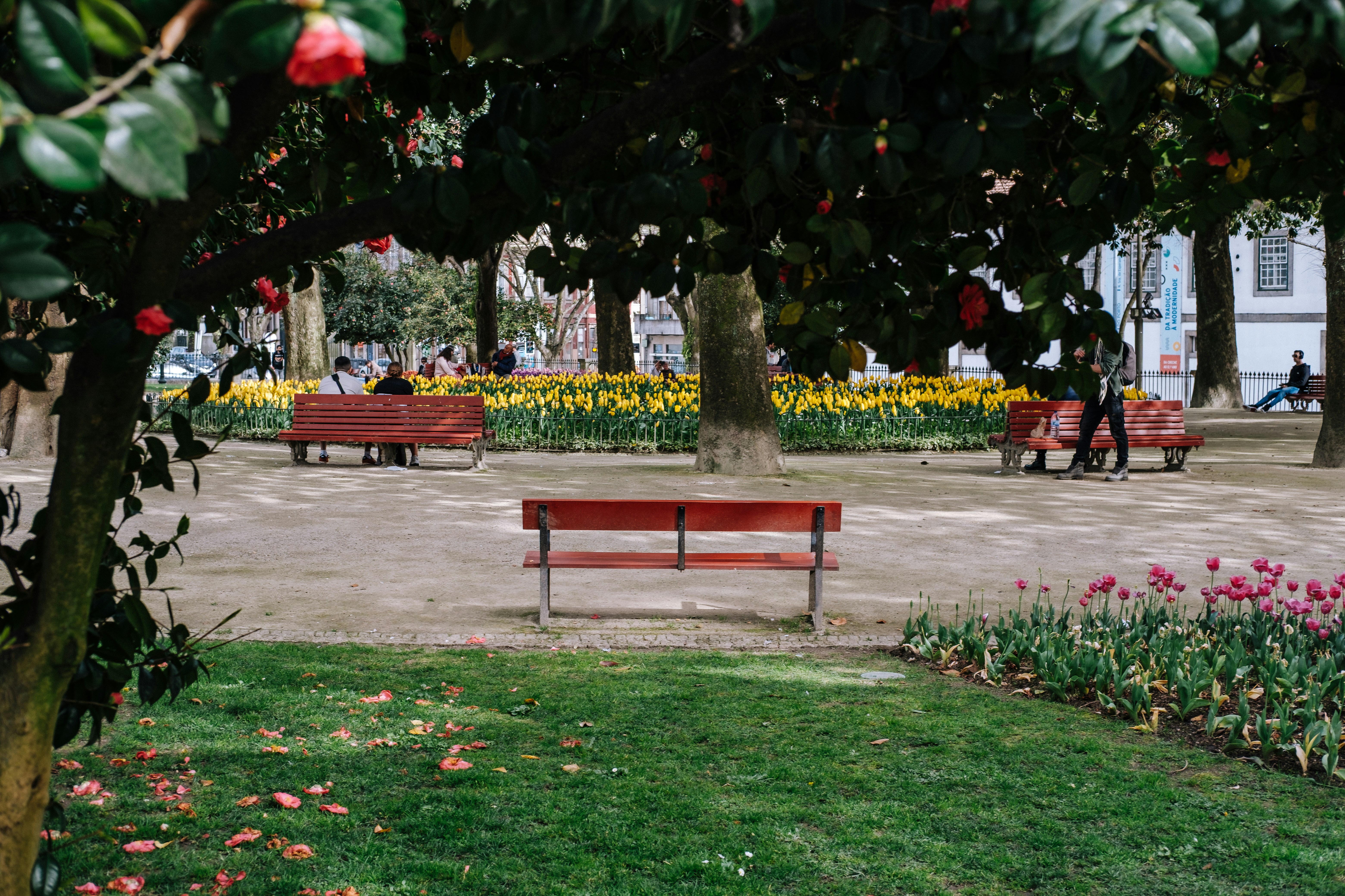 Porto garden with tulips and red benches in spring