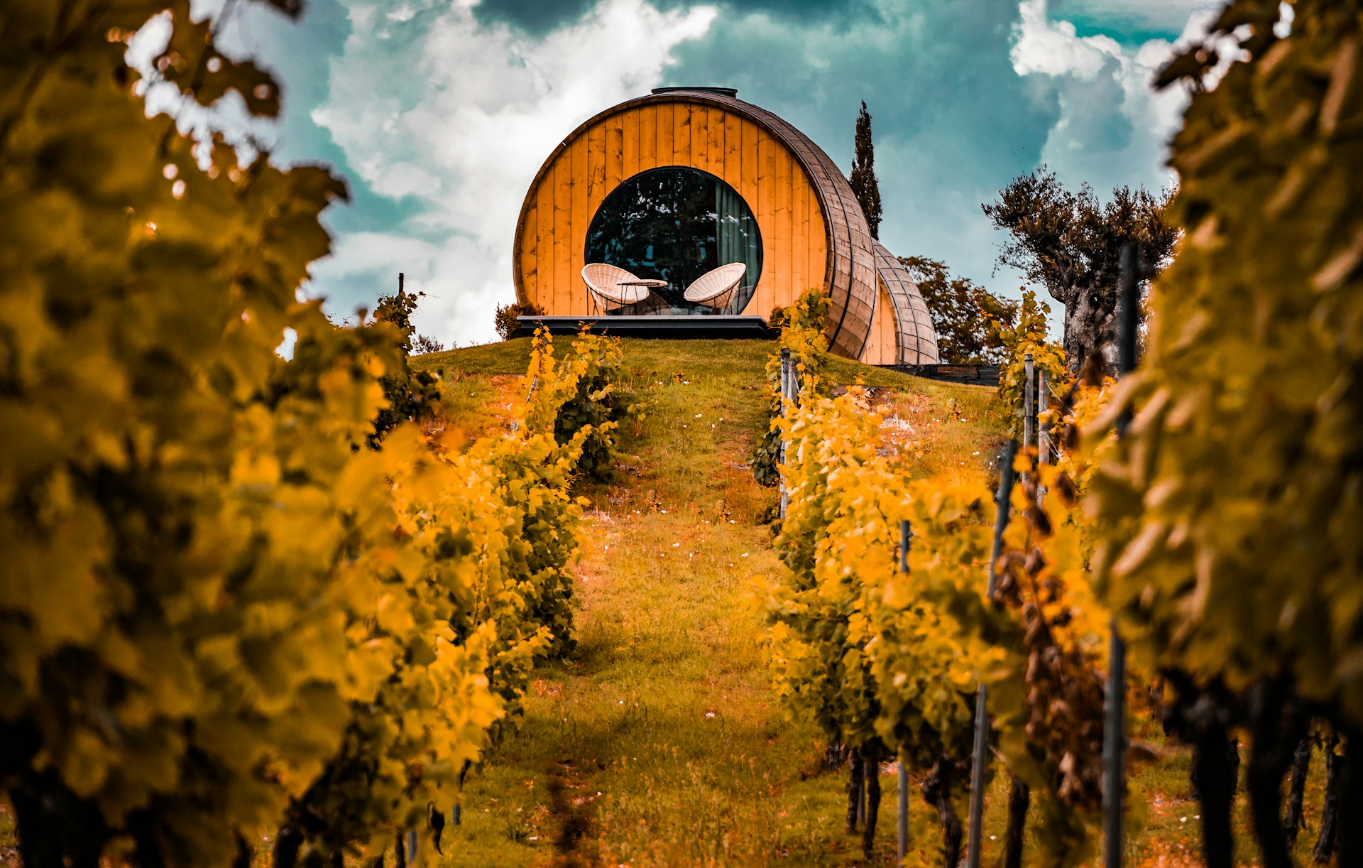 Scenic Douro Valley wine cellar barrels on a private tour