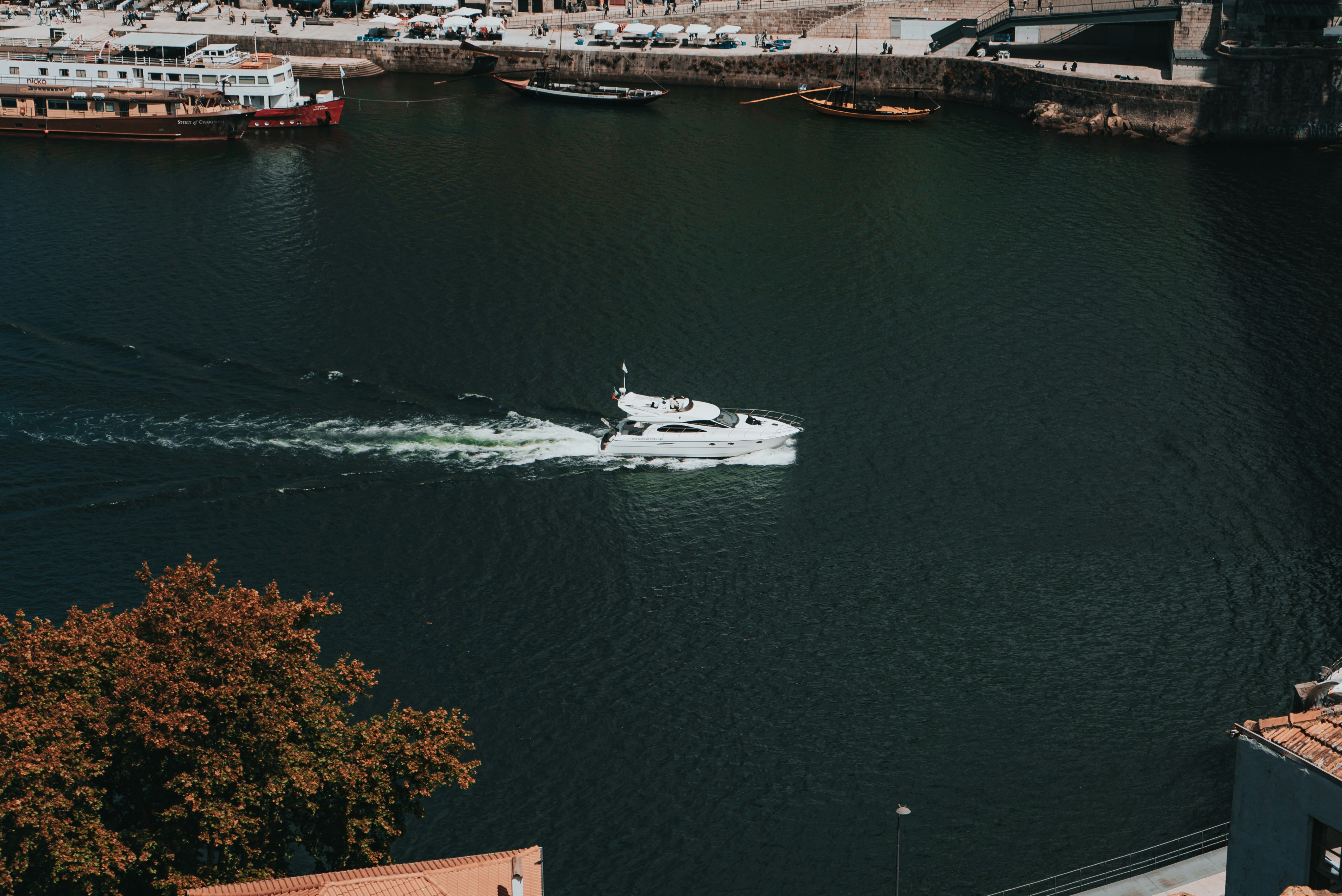 Porto cityscape and historic centre — a welcoming city for families