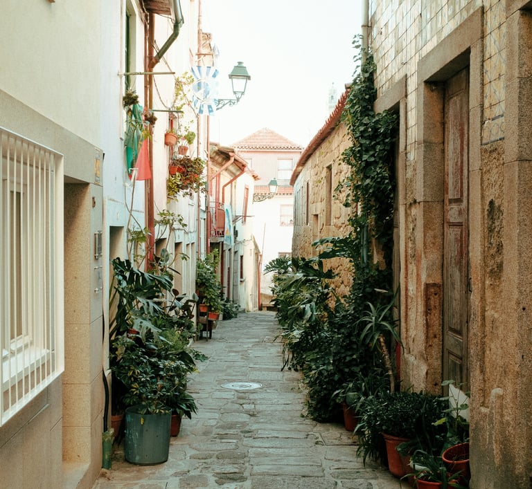 Hidden gem restaurant in Porto with local Portuguese cuisine