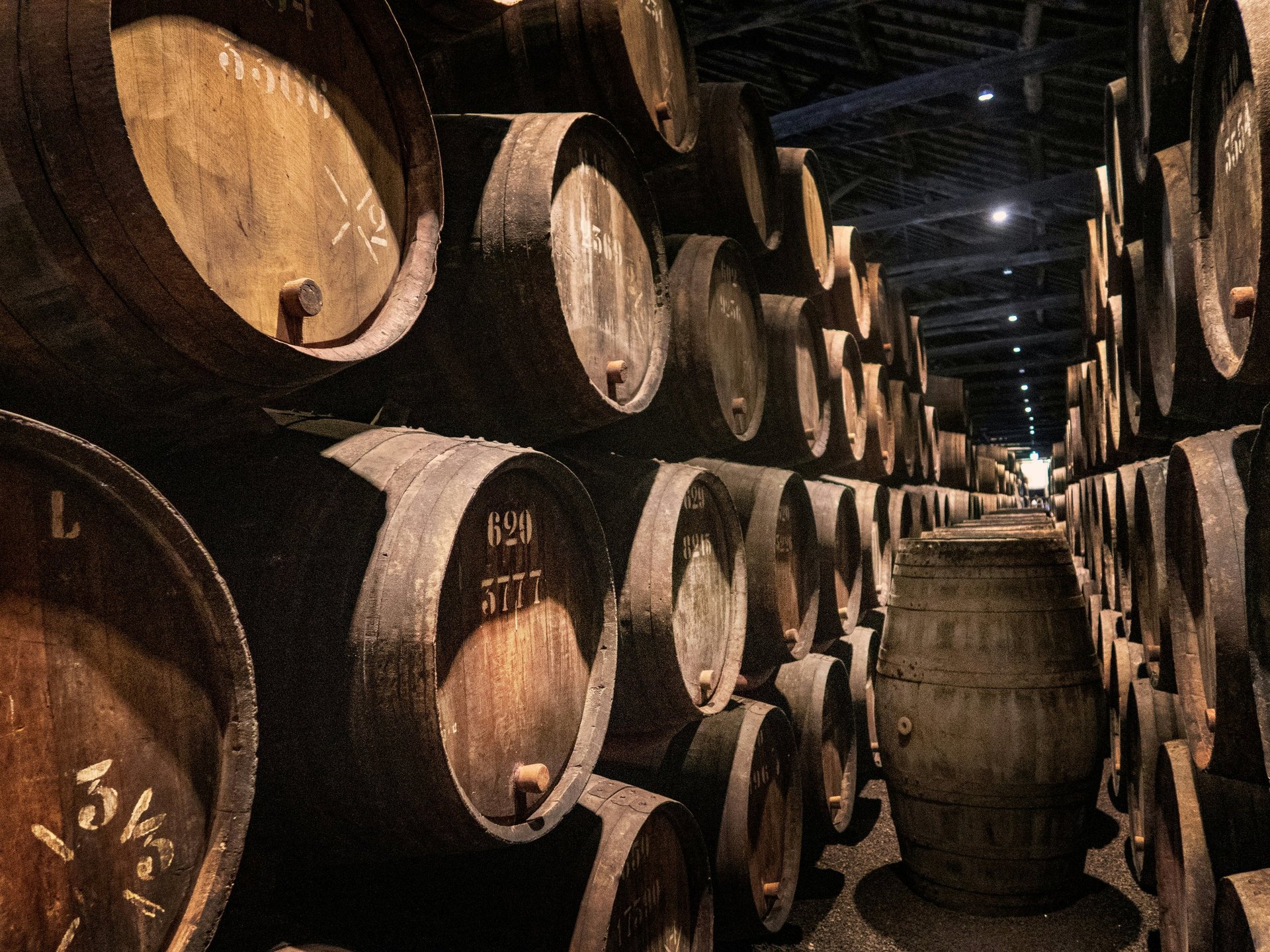 Port wine cellar in Vila Nova de Gaia with rows of oak barrels